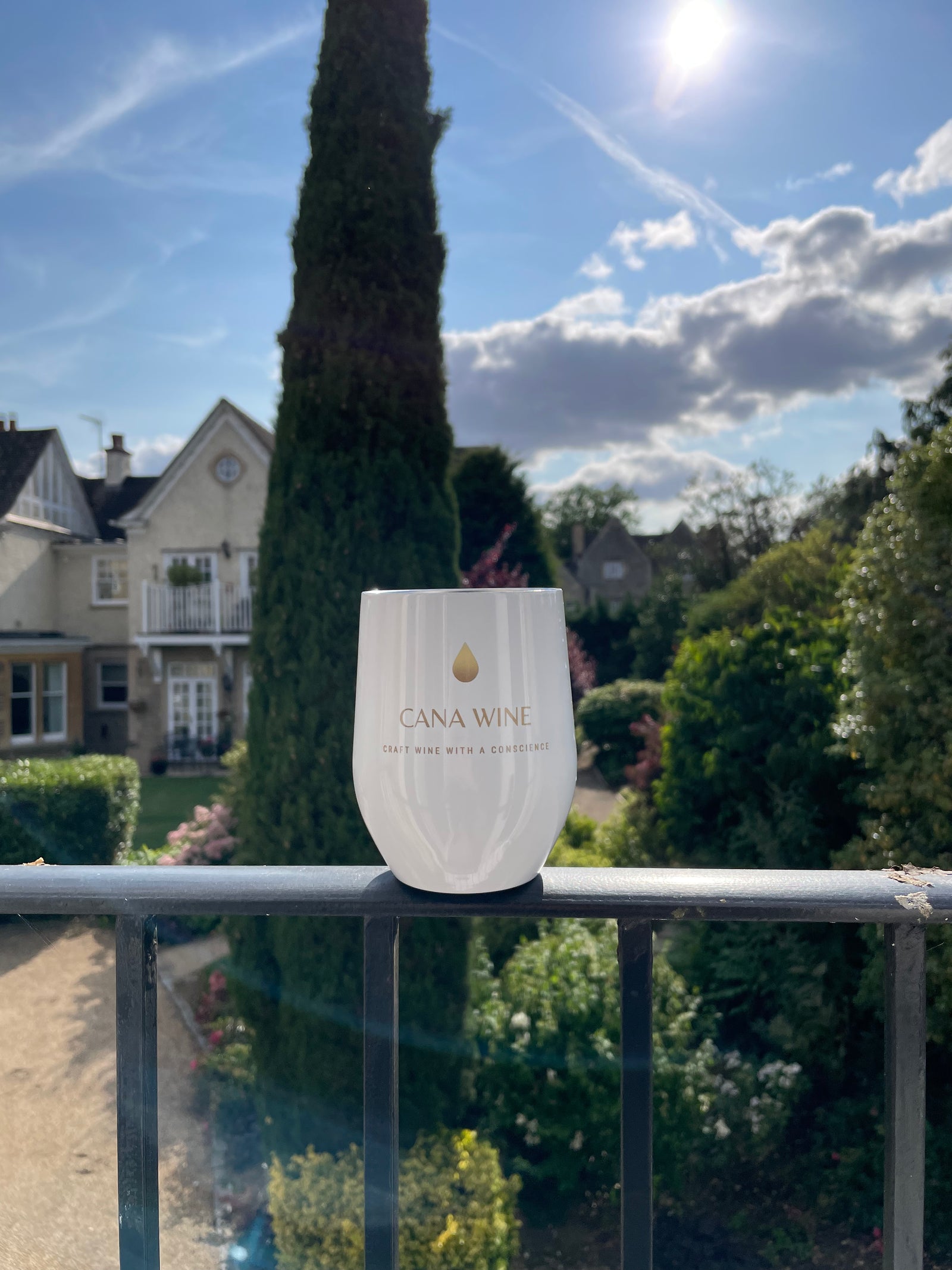 Stainless Steel Cana Wine Tumbler